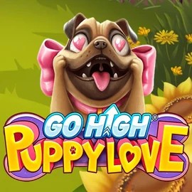 Play Go High Puppy Love slot by RubyPlay on betalicecasino.pl